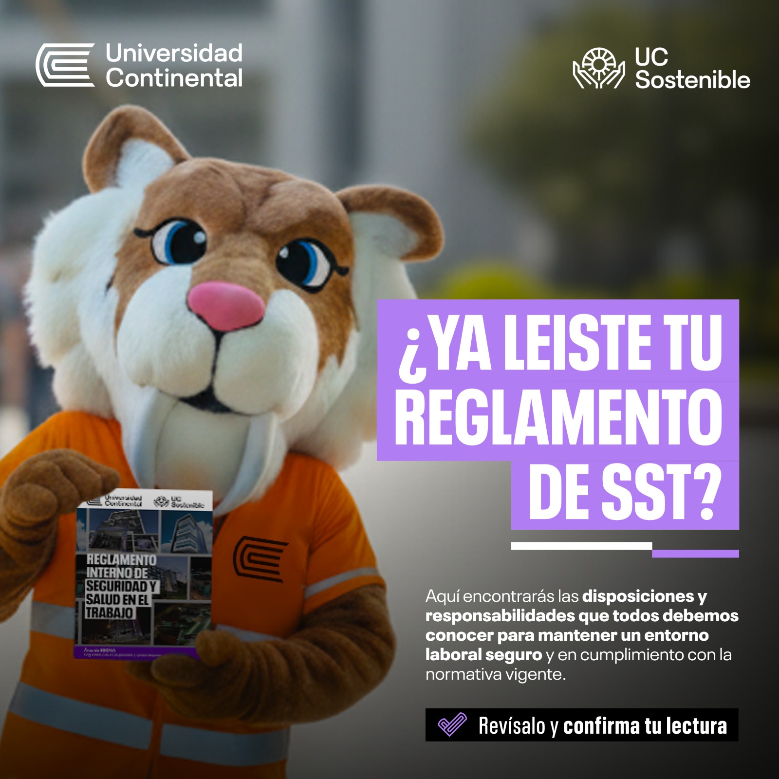 Lee el nuevo RISST. ¡Tu seguridad es nuestra prioridad!